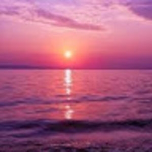 Meet your Posher, Charlie